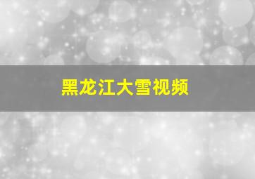 黑龙江大雪视频