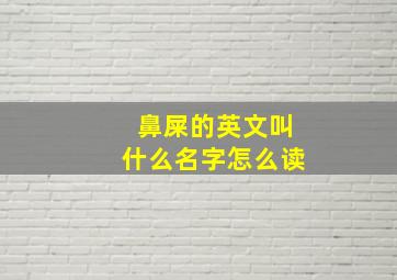 鼻屎的英文叫什么名字怎么读