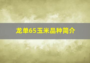 龙单65玉米品种简介