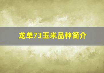 龙单73玉米品种简介