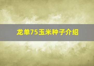 龙单75玉米种子介绍