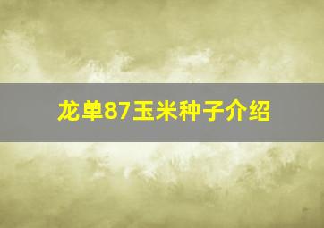 龙单87玉米种子介绍