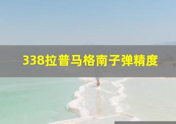 338拉普马格南子弹精度