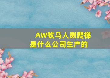 AW牧马人侧爬梯是什么公司生产的