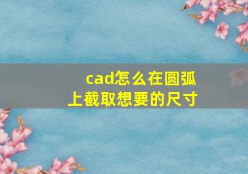 cad怎么在圆弧上截取想要的尺寸