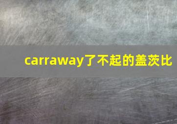 carraway了不起的盖茨比