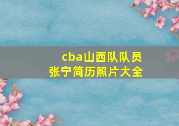 cba山西队队员张宁简历照片大全