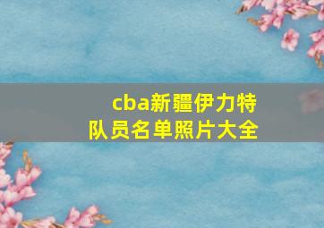 cba新疆伊力特队员名单照片大全