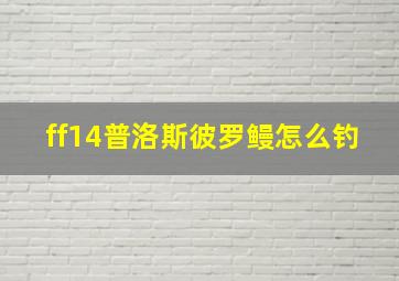 ff14普洛斯彼罗鳗怎么钓