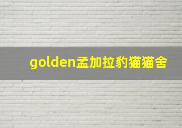 golden孟加拉豹猫猫舍