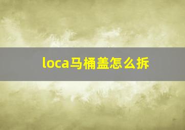 loca马桶盖怎么拆