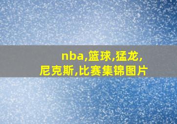 nba,篮球,猛龙,尼克斯,比赛集锦图片