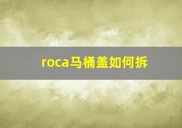 roca马桶盖如何拆