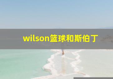 wilson篮球和斯伯丁