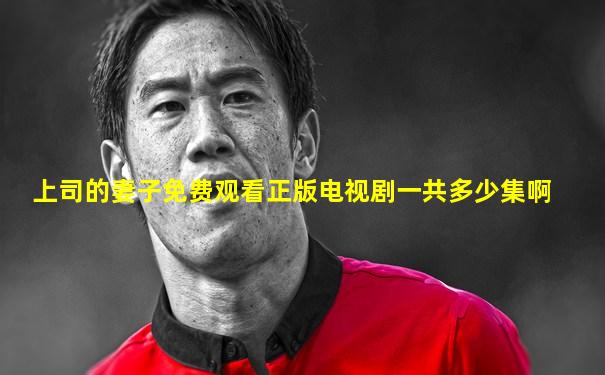 上司的妻子免费观看正版电视剧一共多少集啊