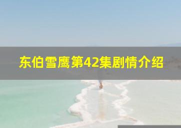 东伯雪鹰第42集剧情介绍