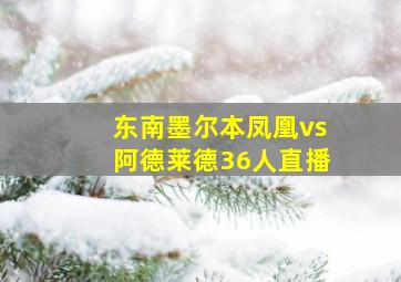 东南墨尔本凤凰vs阿德莱德36人直播