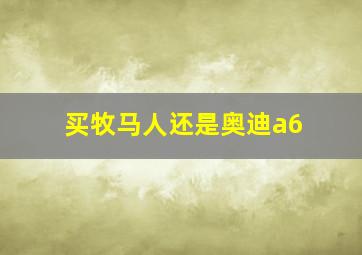 买牧马人还是奥迪a6