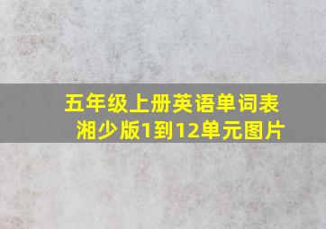 五年级上册英语单词表湘少版1到12单元图片