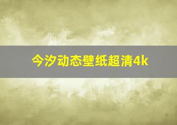 今汐动态壁纸超清4k