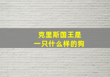 克里斯国王是一只什么样的狗