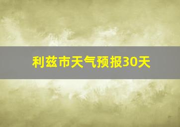 利兹市天气预报30天