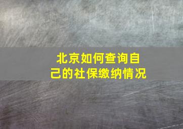 北京如何查询自己的社保缴纳情况