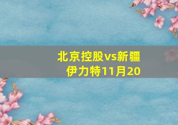 北京控股vs新疆伊力特11月20