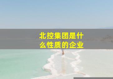 北控集团是什么性质的企业