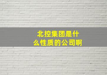 北控集团是什么性质的公司啊