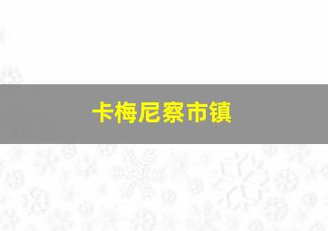 卡梅尼察市镇