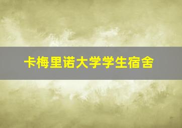 卡梅里诺大学学生宿舍