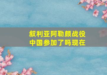 叙利亚阿勒颇战役中国参加了吗现在