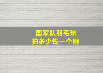 国家队羽毛球拍多少钱一个啊