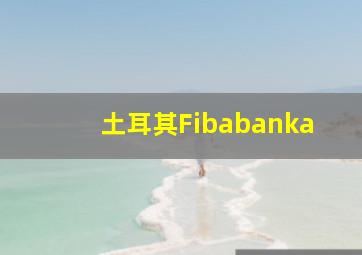 土耳其Fibabanka