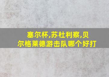 塞尔杯,苏杜利察,贝尔格莱德游击队哪个好打