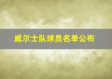 威尔士队球员名单公布