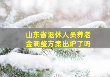 山东省退休人员养老金调整方案出炉了吗