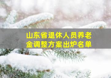 山东省退休人员养老金调整方案出炉名单