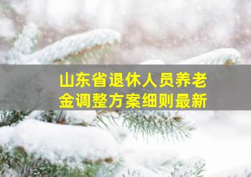 山东省退休人员养老金调整方案细则最新