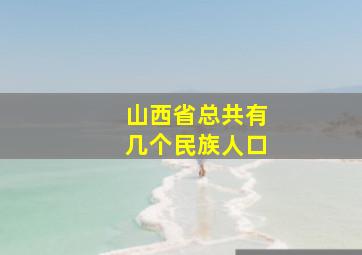 山西省总共有几个民族人口