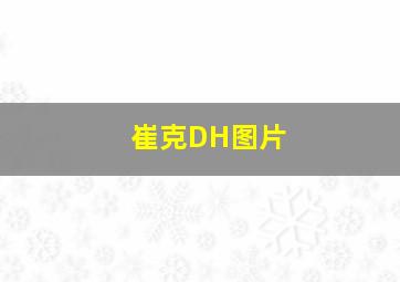 崔克DH图片