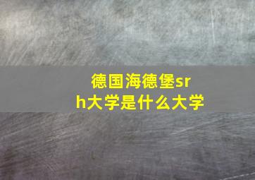 德国海德堡srh大学是什么大学