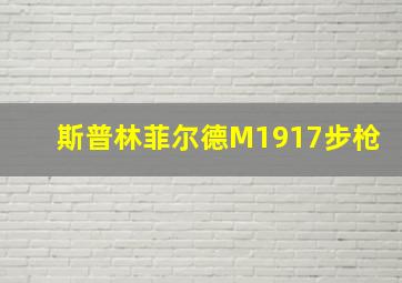 斯普林菲尔德M1917步枪