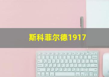 斯科菲尔德1917