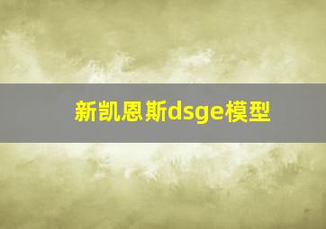 新凯恩斯dsge模型