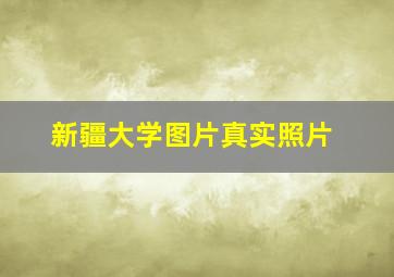 新疆大学图片真实照片