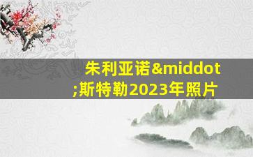 朱利亚诺·斯特勒2023年照片