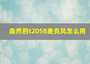 森然的t2058麦克风怎么用