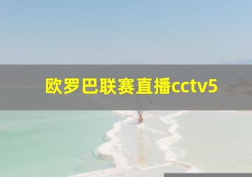 欧罗巴联赛直播cctv5